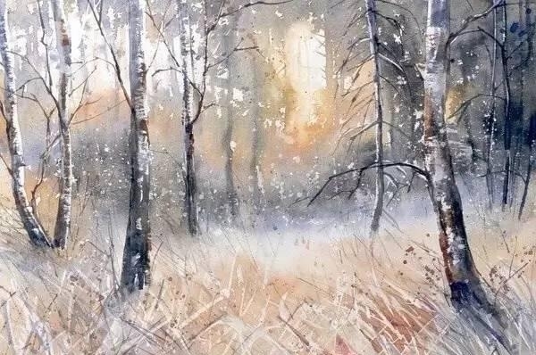 波兰画家Malgorzata Szczecinska森林自然水彩绘