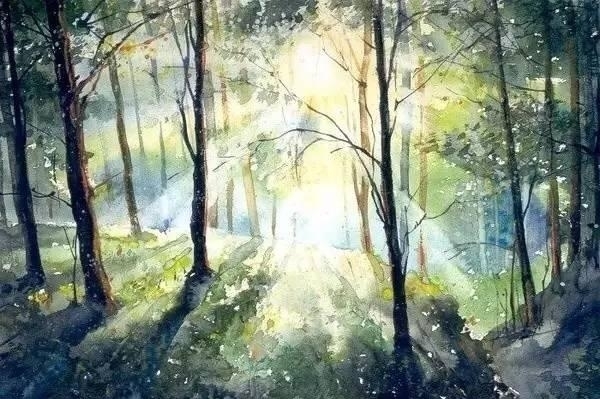 波兰画家Malgorzata Szczecinska森林自然水彩绘